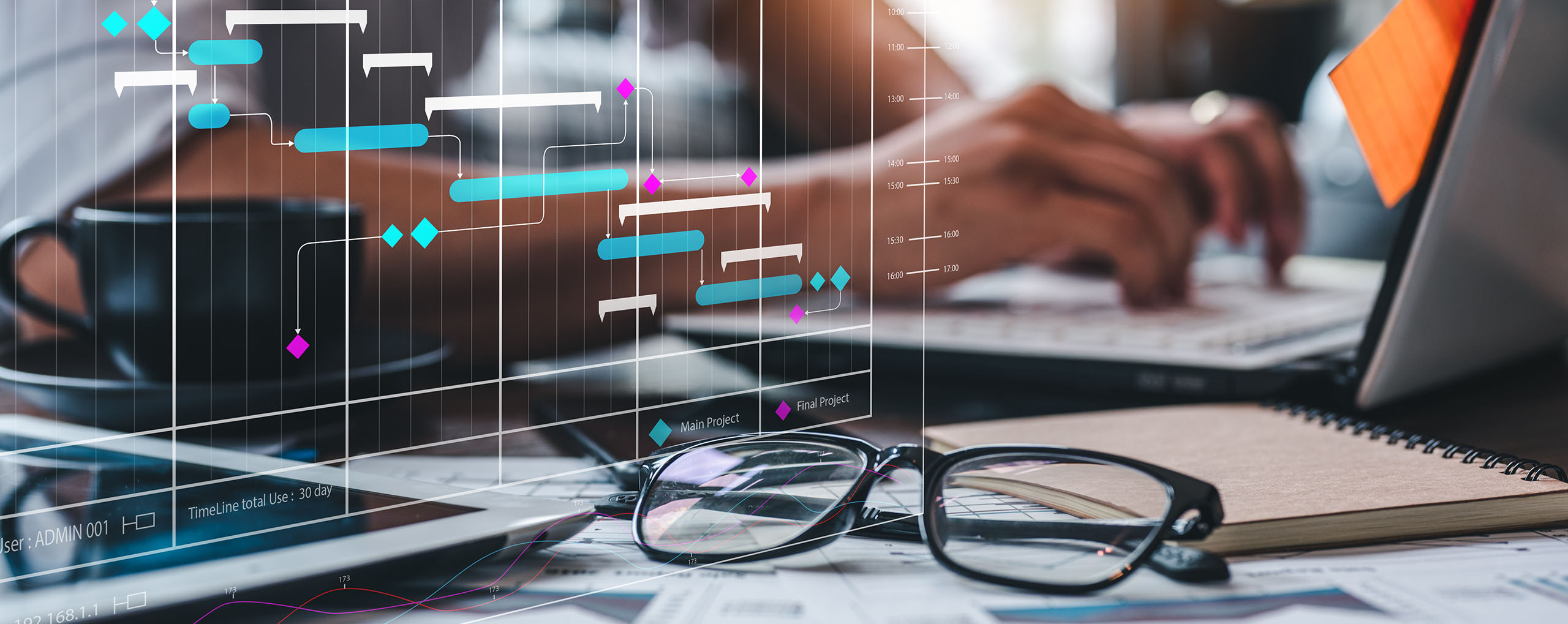 IT project management